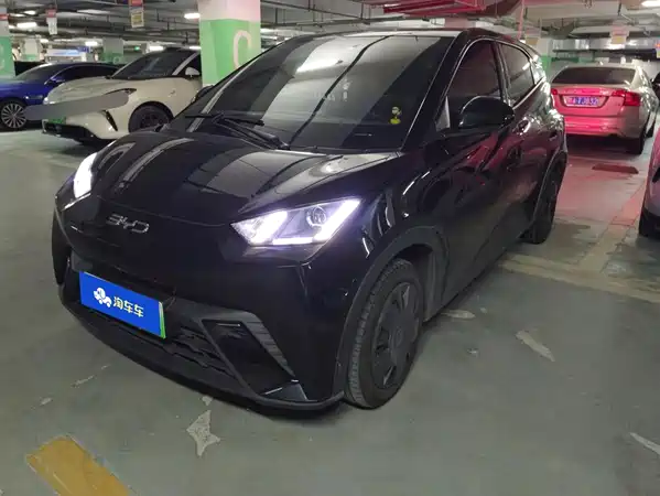 BYD Seagull 2024