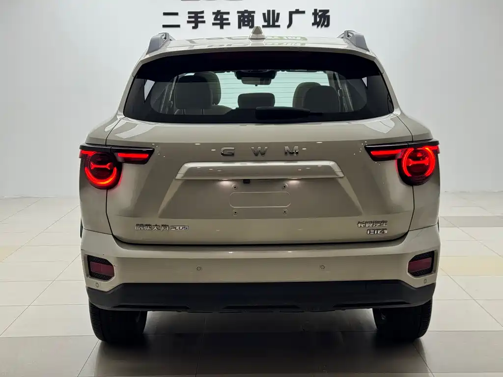 Haval Big Dog PLUS New Energy 2026 — фото 19