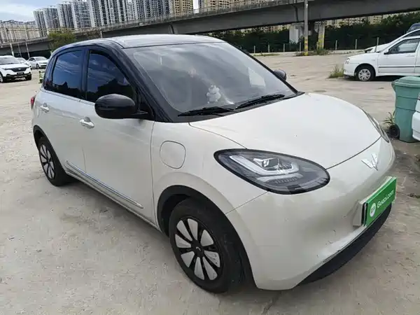 Wuling Bingo 2024