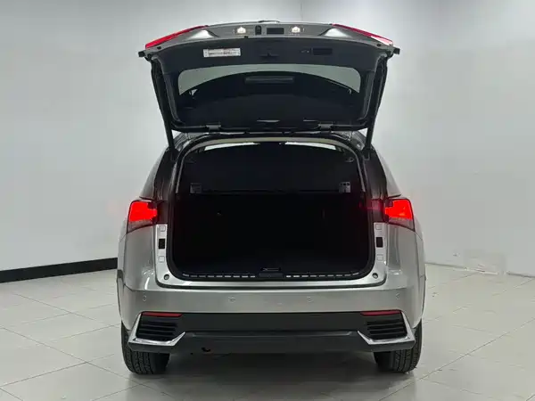 Lexus NX 2018