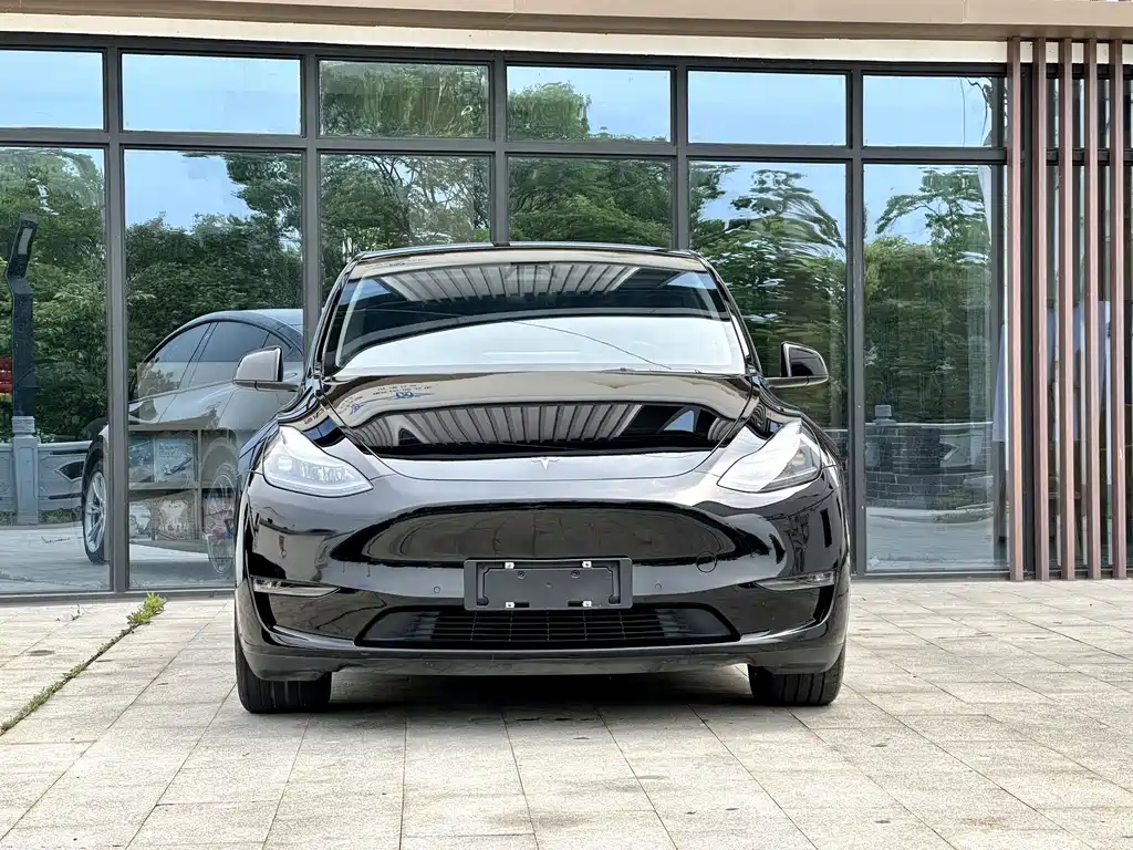 Tesla Model Y 2021 — фото 2