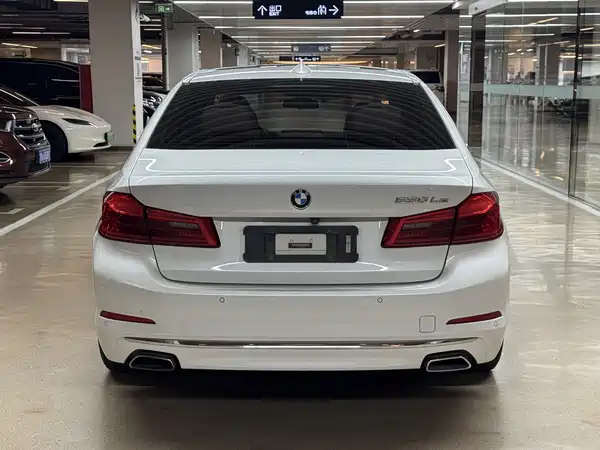 BMW 5 Series New Energy 2018
