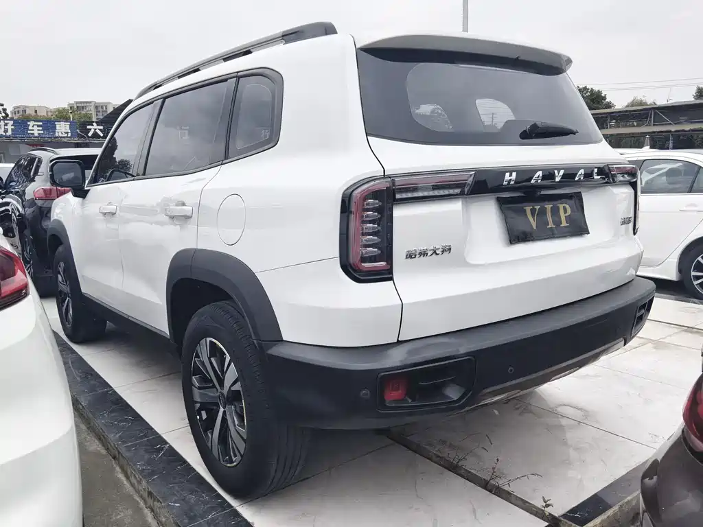 Haval Big Dog 2021 — фото 15