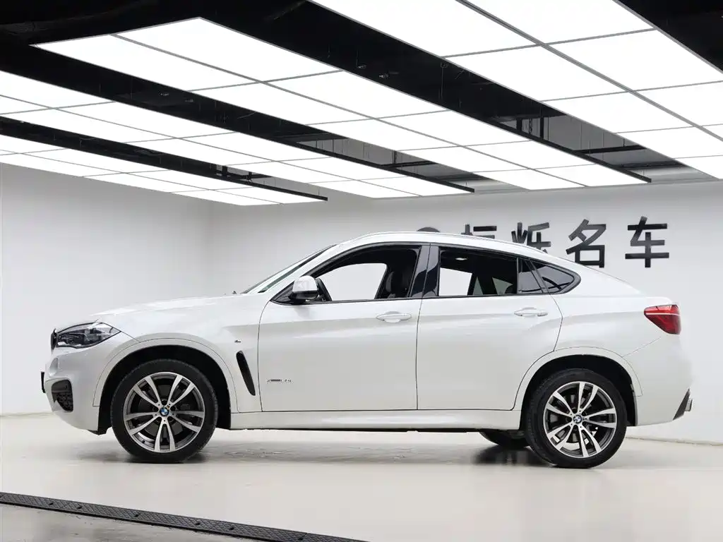 BMW X6 2016 — фото 34