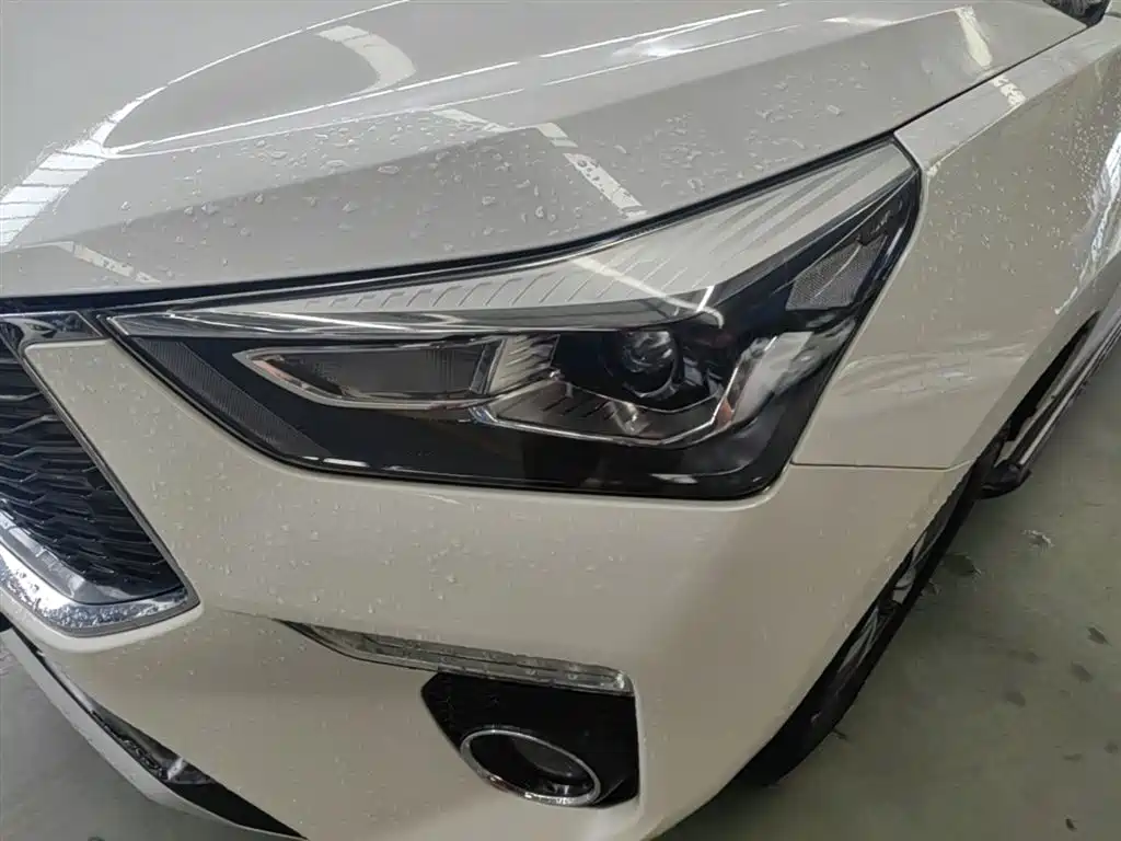 Haval H6 Coupe 2019 — фото 18