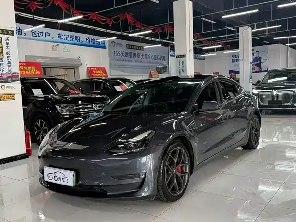 Tesla Model 3 2021