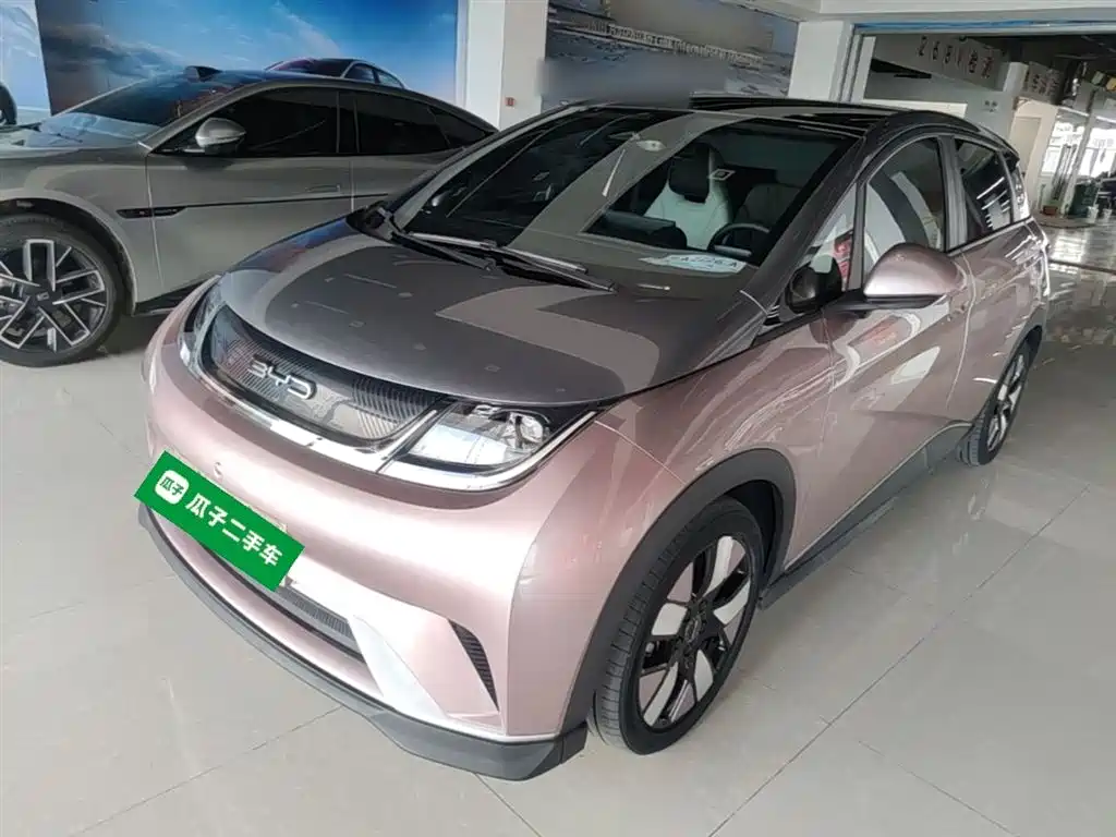 BYD Dolphin 2021 — фото 1