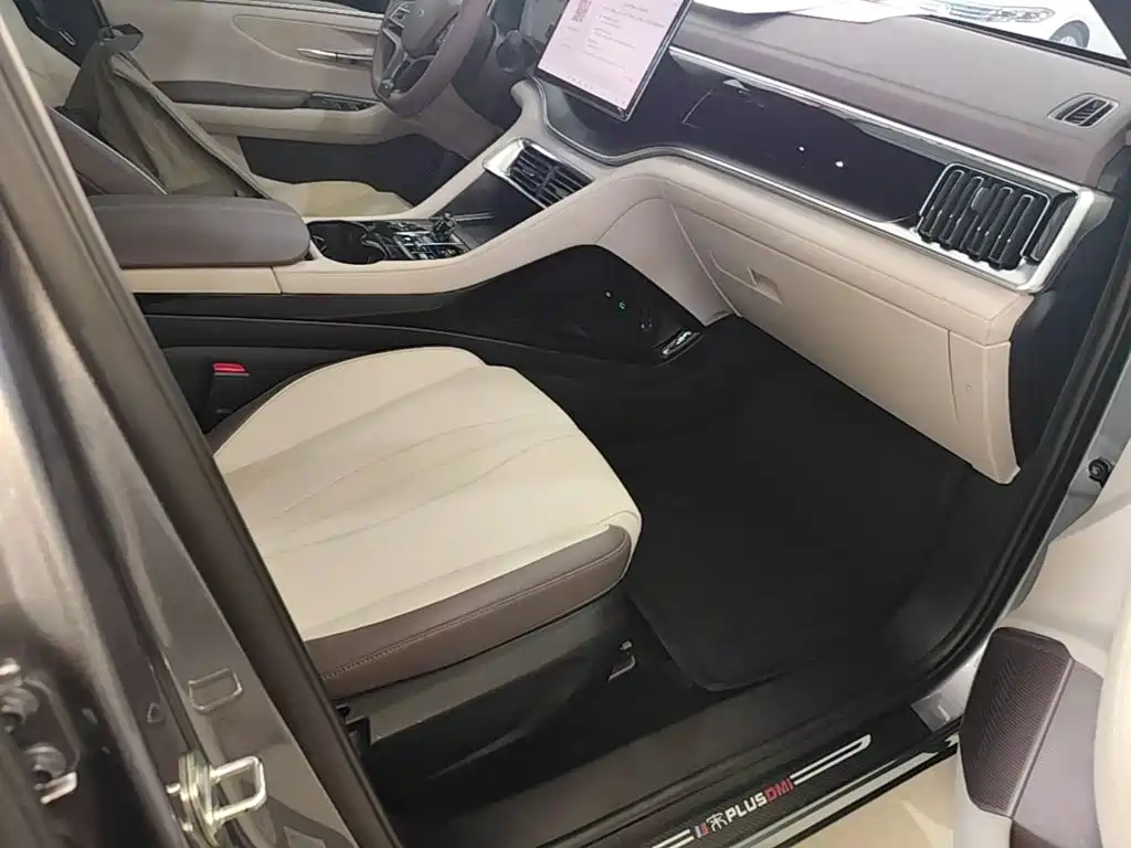 BYD Song PLUS New Energy 2025 — фото 25