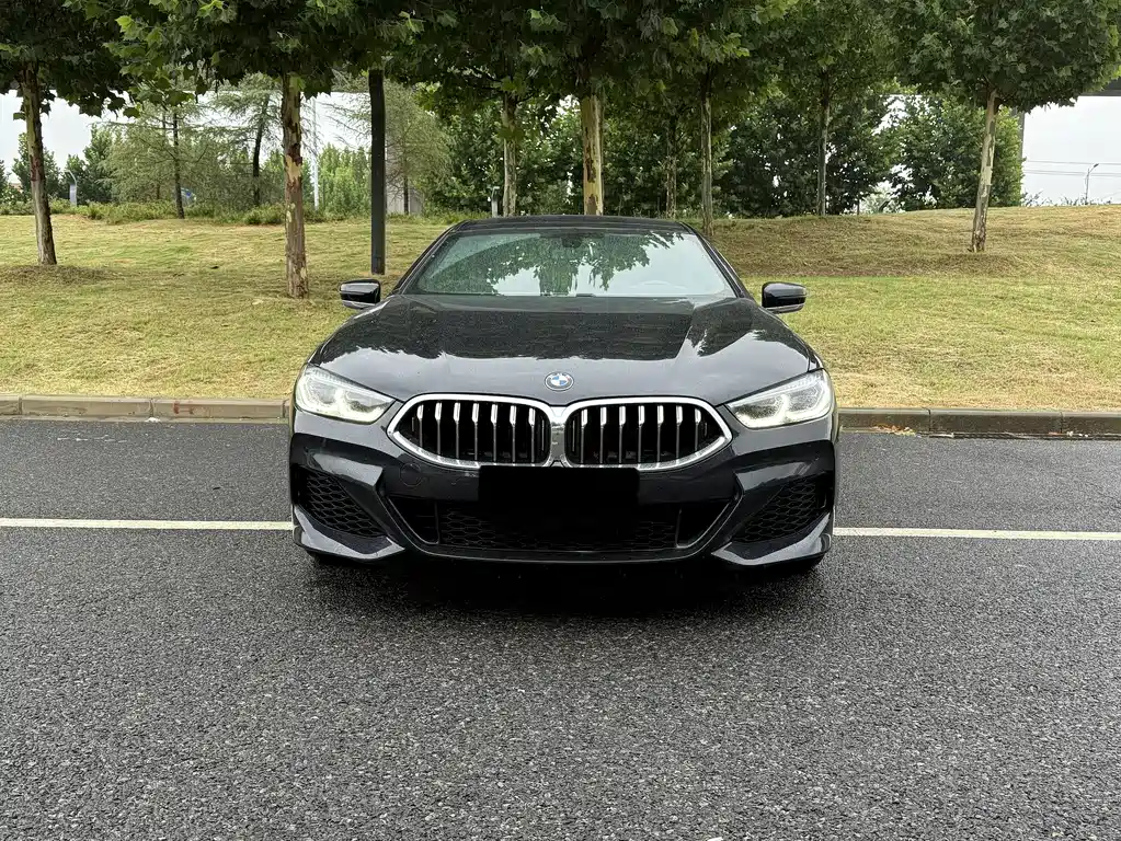 BMW 8 Series 2021