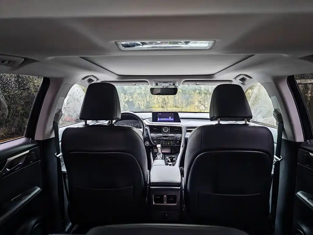 Lexus RX 2018 — фото 15