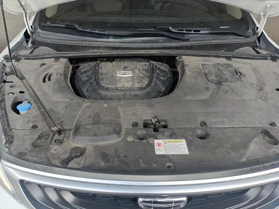Geely Emgrand GS 2020 — фото 10