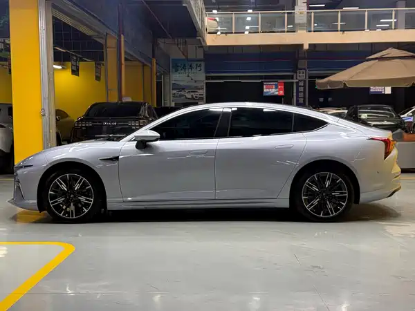 Neta S 2024