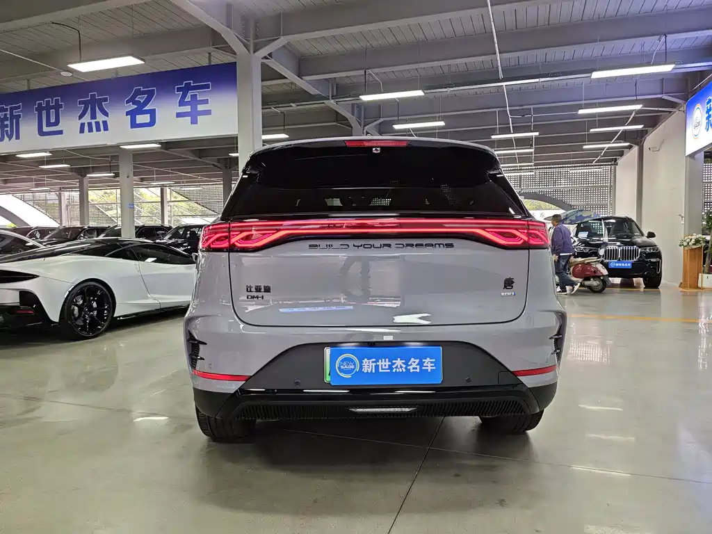 BYD Tang New Energy 2025 — фото 16