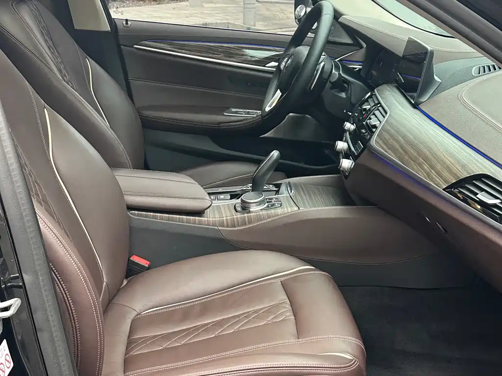 BMW 5 Series 2019 — фото 15