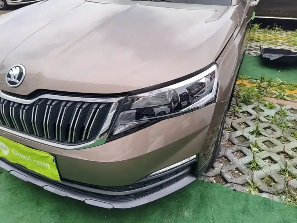 Skoda Kamiq 2019 — фото 24