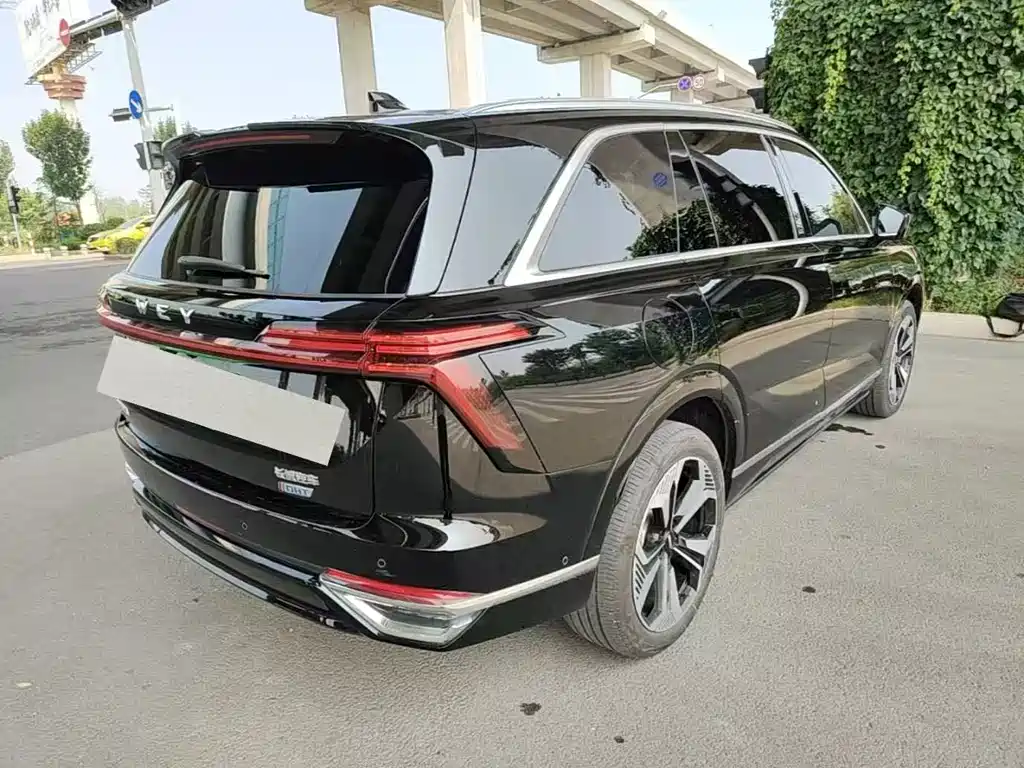 Wey Lanshan 2024