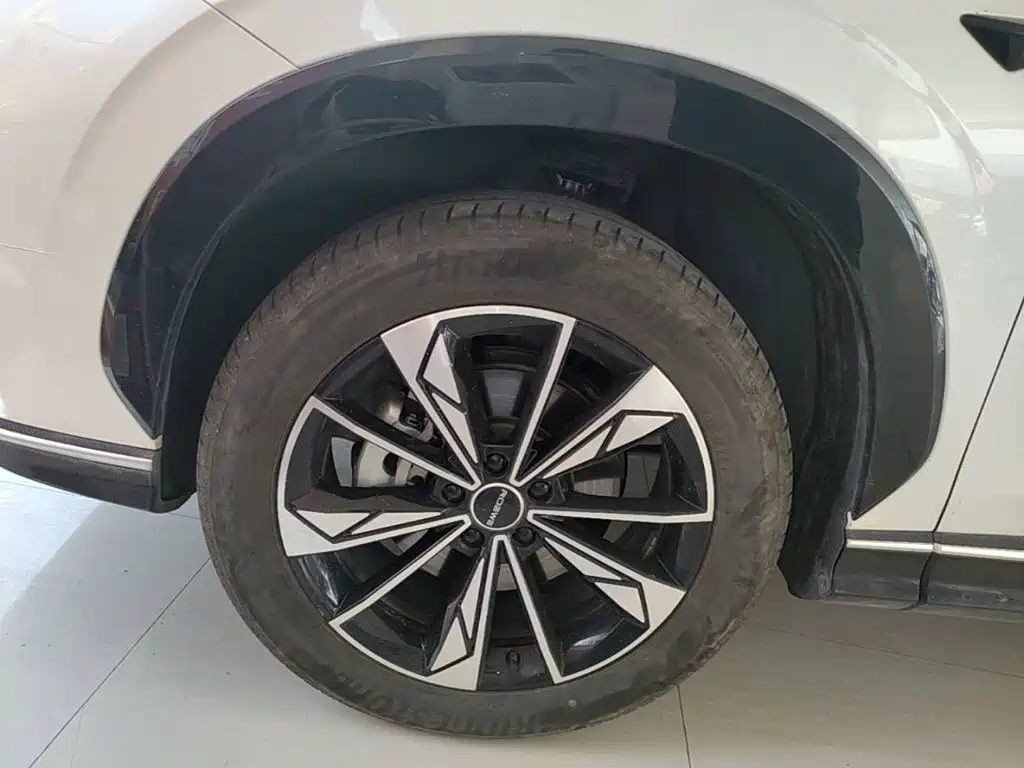 Roewe RX5 New Energy 2024 — фото 23