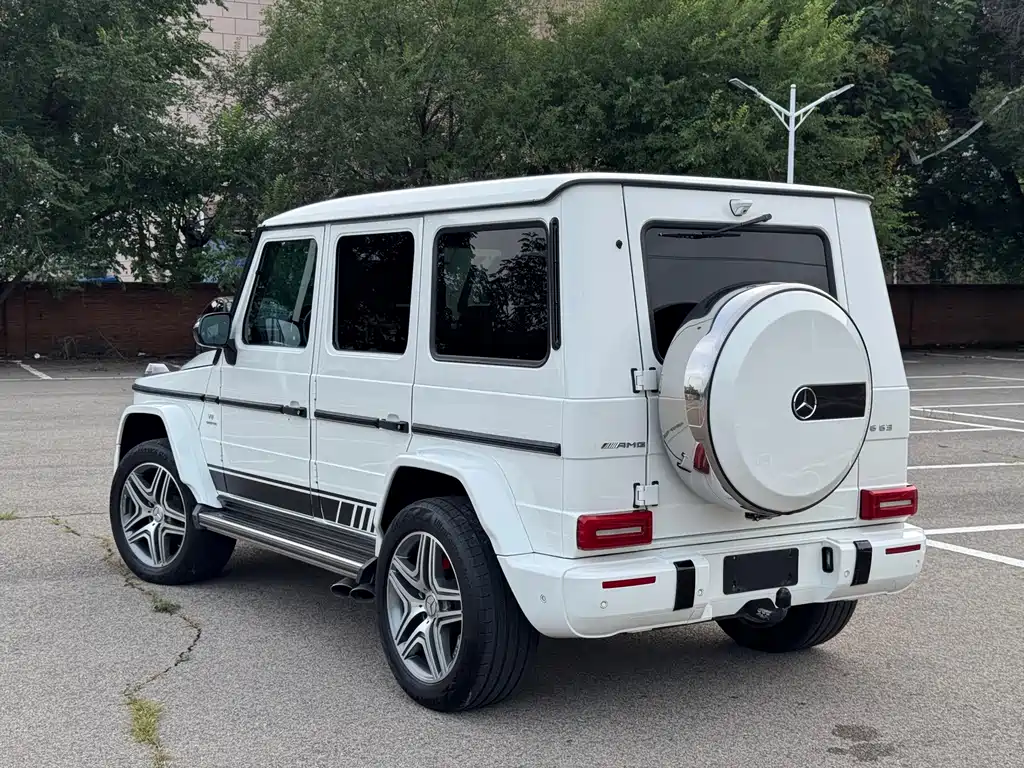 Mercedes-Benz G-Class AMG 2014 — фото 6