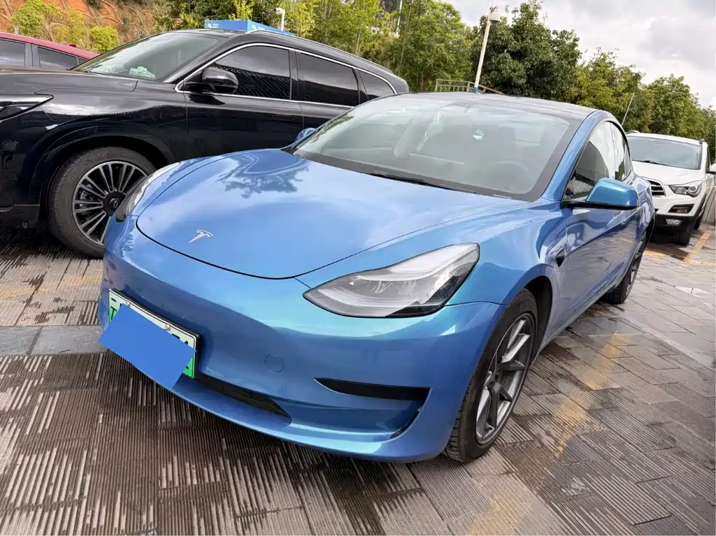 Tesla Model 3 2021