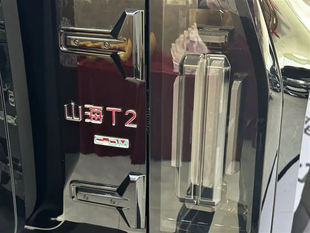 Shanhai Traveller C-DM 2025 — фото 10