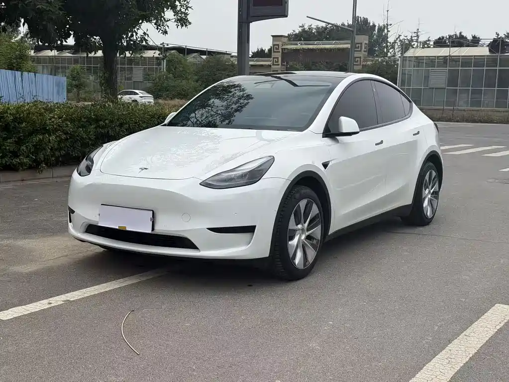 Tesla Model Y 2023 — фото 1