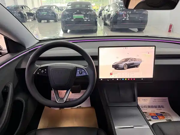 Tesla Model 3 2024