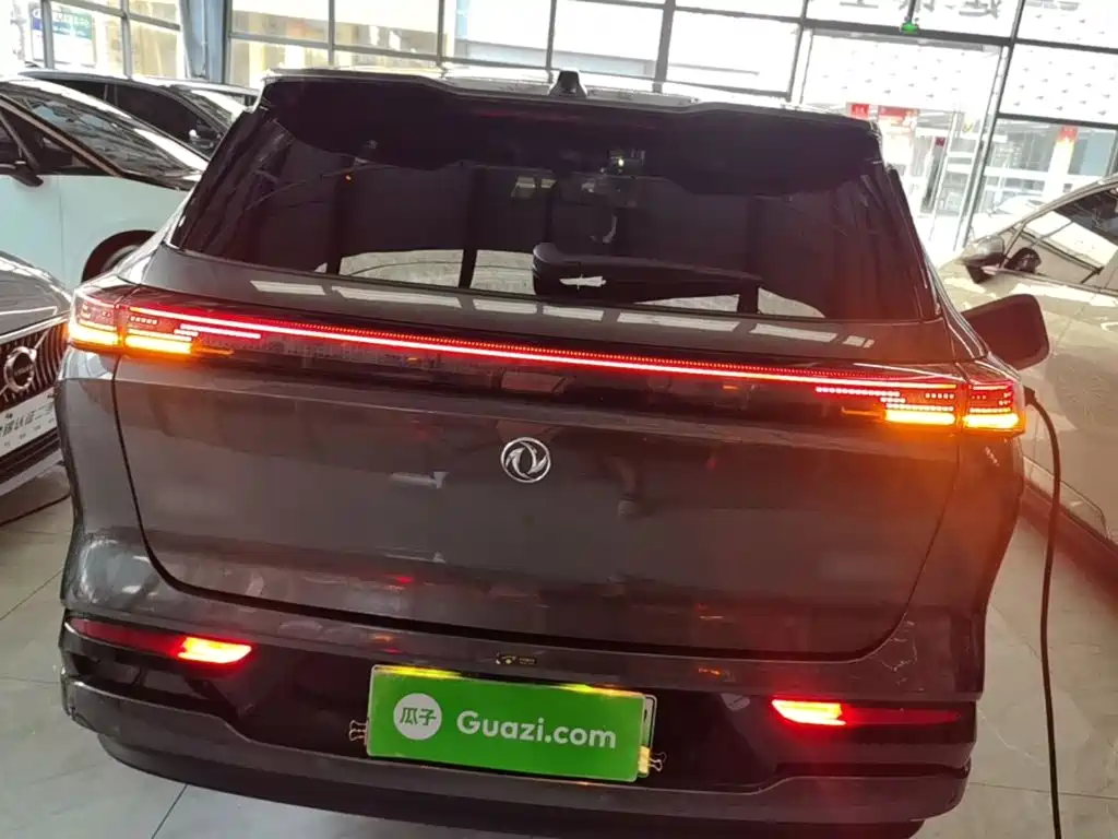 Dongfeng Fengshen L8 2025 — фото 6