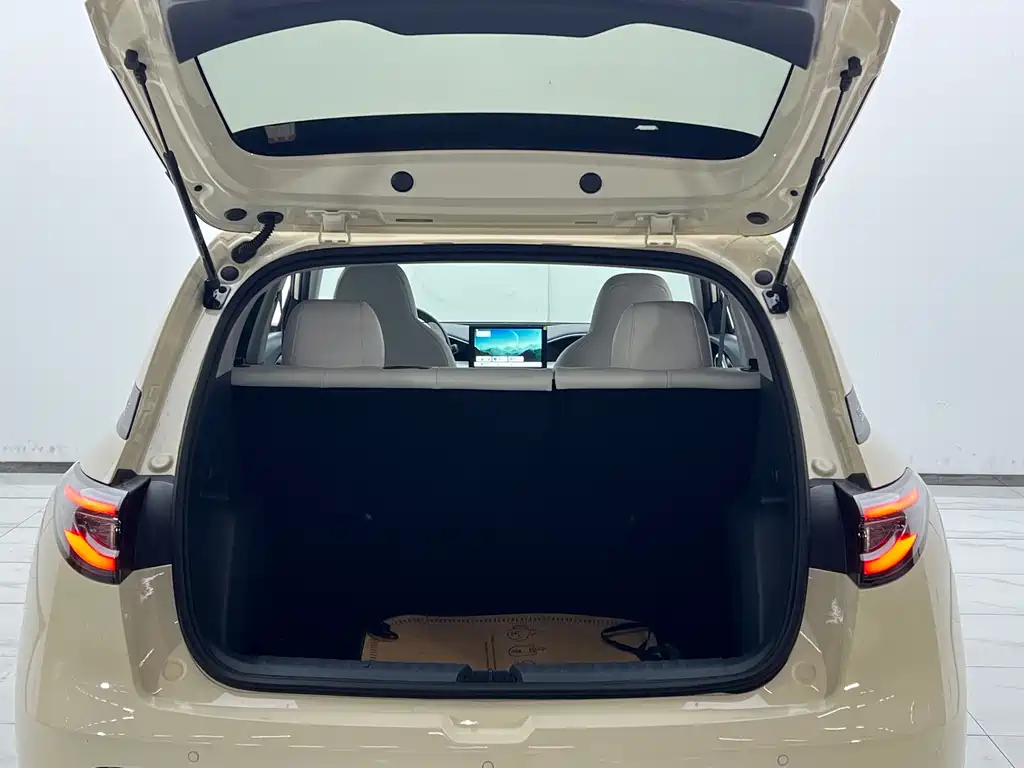Geely Galaxy Starwish 2025 — фото 17