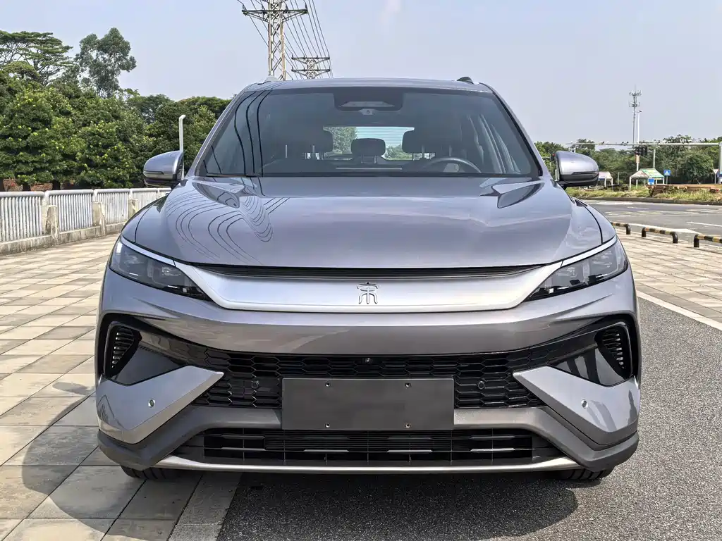 BYD Song Pro New Energy 2025 — фото 2
