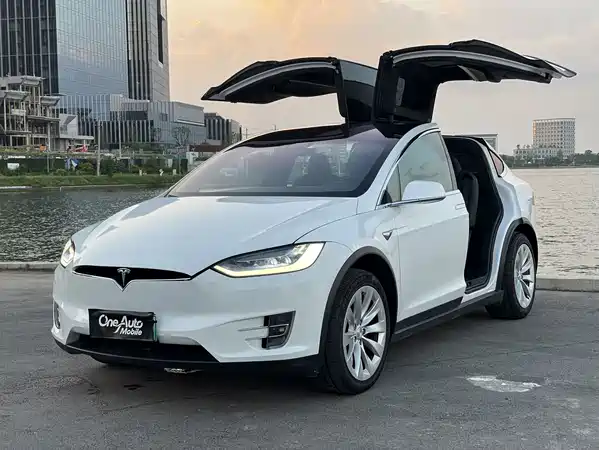 Tesla Model X 2020