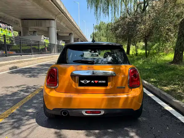 MINI 2018