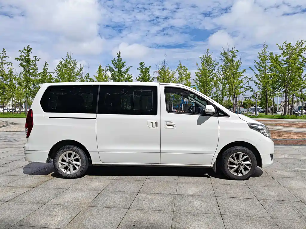 Fengxing Lingzhi PLUS 2021
