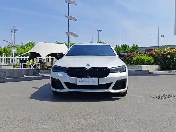 BMW 5 Series New Energy 2021
