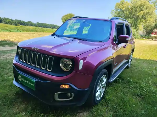 Jeep Freeman 2019