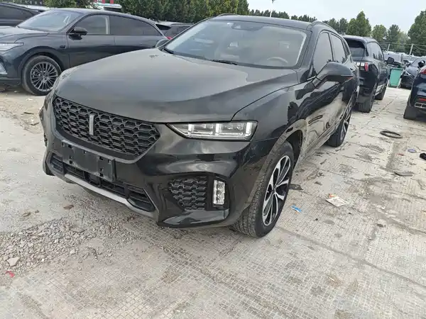 Wey VV7 2019