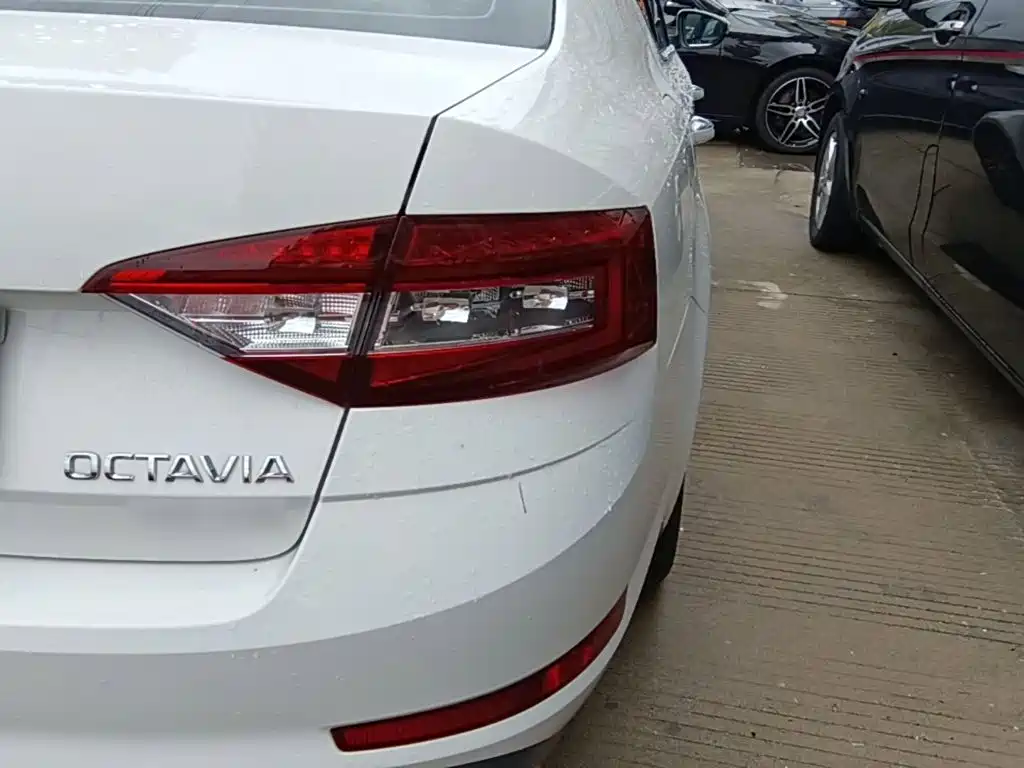 Skoda Octavia 2020 — фото 8