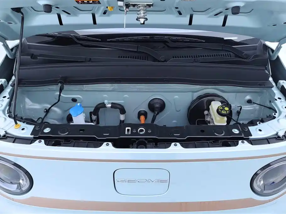 Geely Galaxy Panda 2024 — фото 10