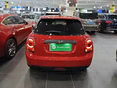 MINI MINI 2020