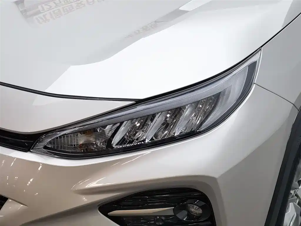 Toyota Wildlander 2021
