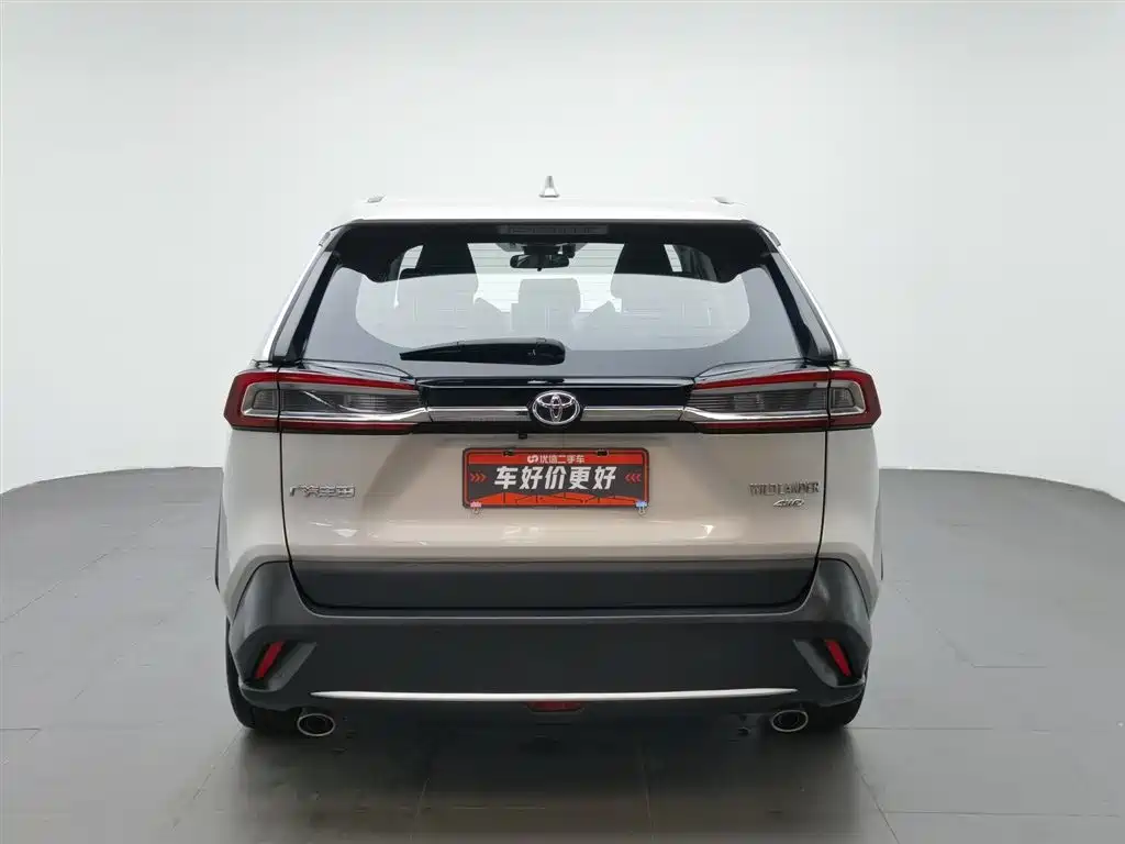 Toyota Wildlander 2021