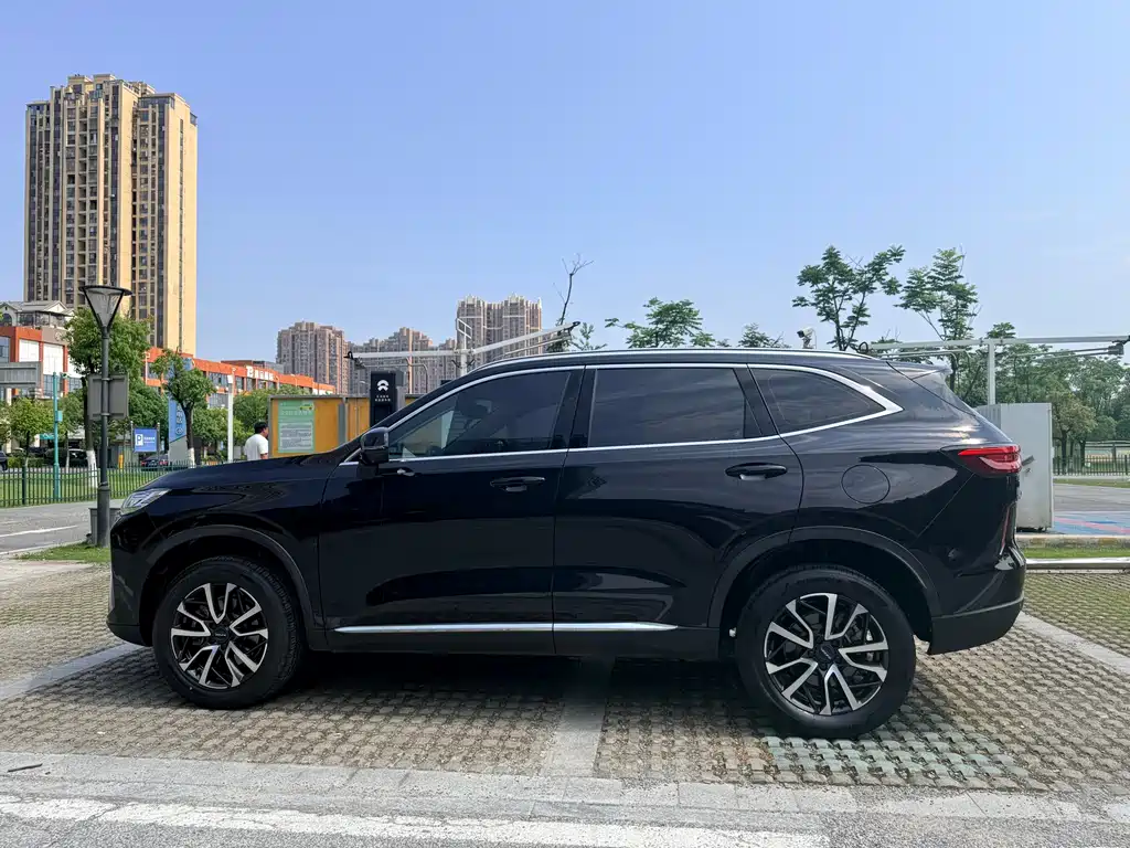 Haval H6 2021 — фото 10