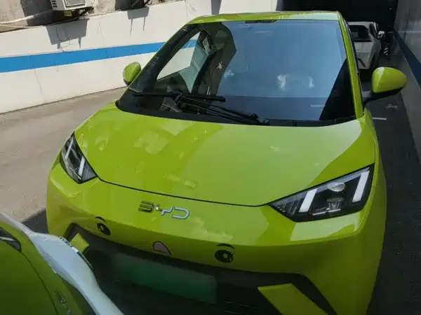 BYD Seagull 2024