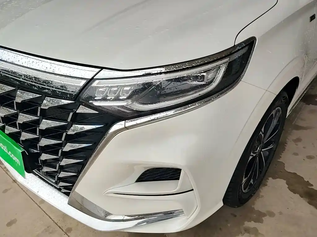 Roewe iMAX8 2024 — фото 24