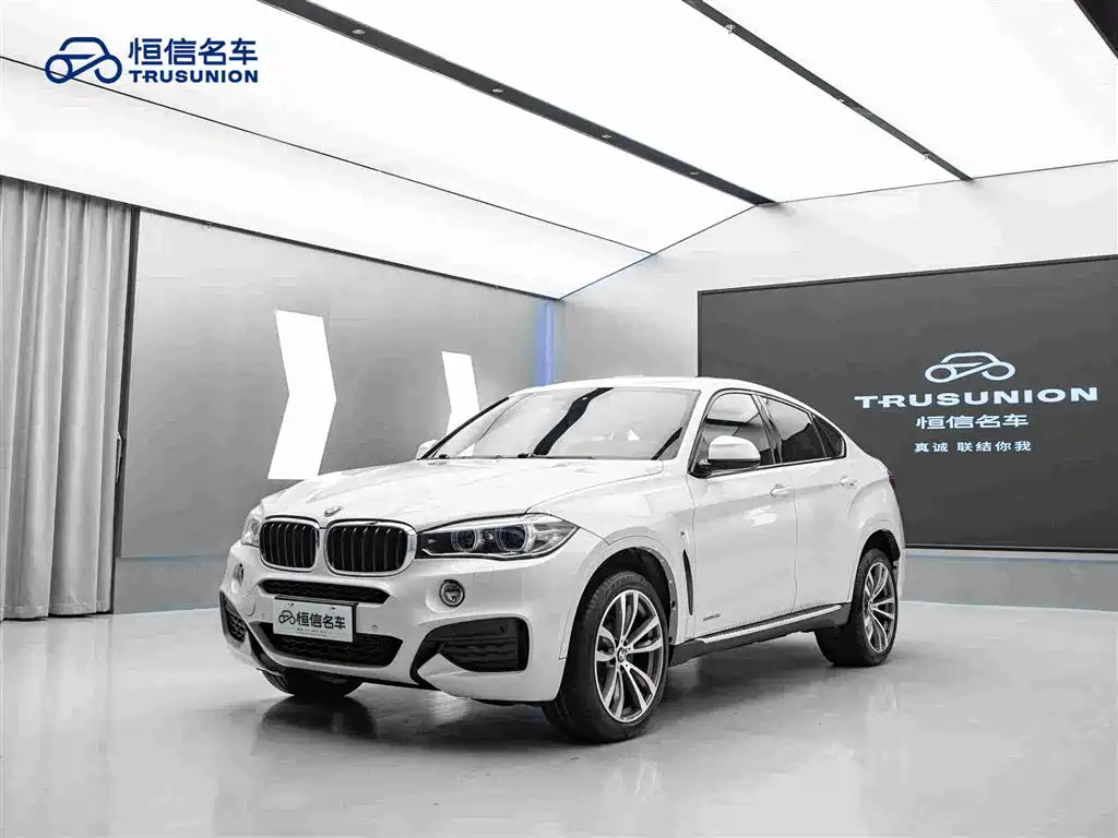 BMW X6 2019 — фото 3