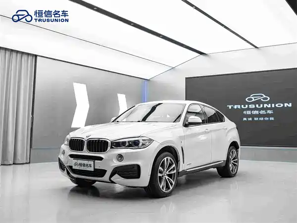 BMW X6 2019