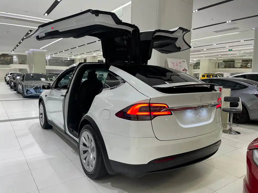 Tesla Model X 2020 — фото 4