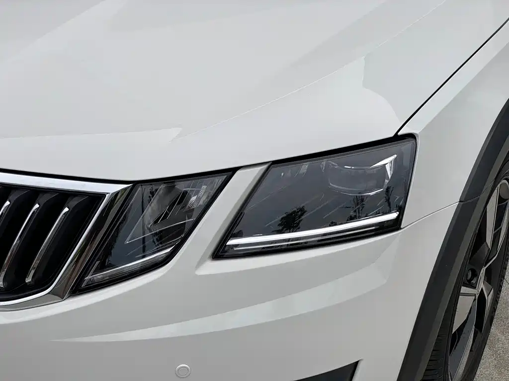 Skoda Octavia 2019 — фото 10
