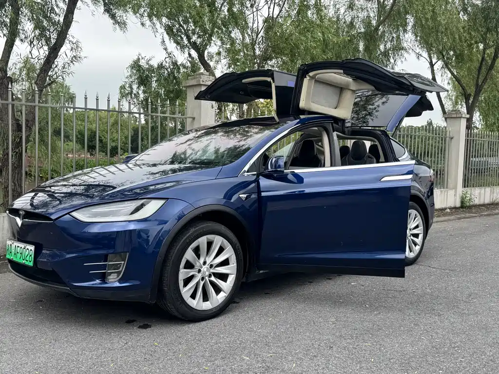 Tesla Model X 2017 — фото 16