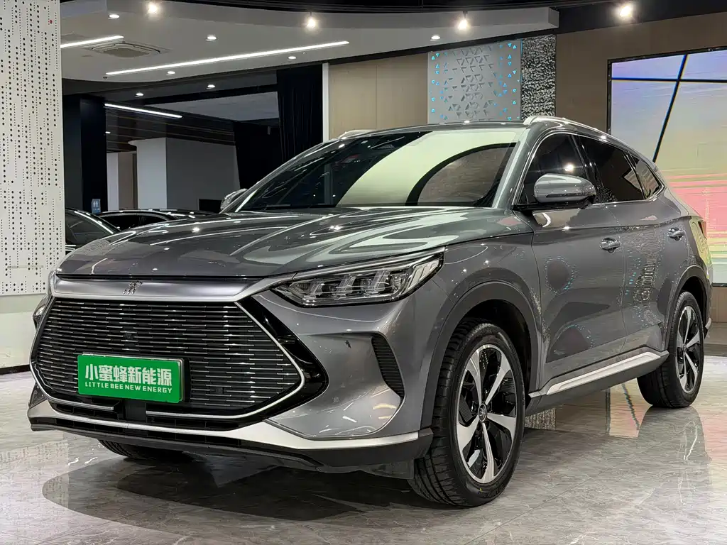 BYD PLUS New Energy 2023 — фото 1