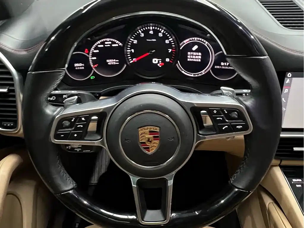 Porsche Cayenne 2020 — фото 13
